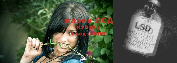 бошки Белокуриха