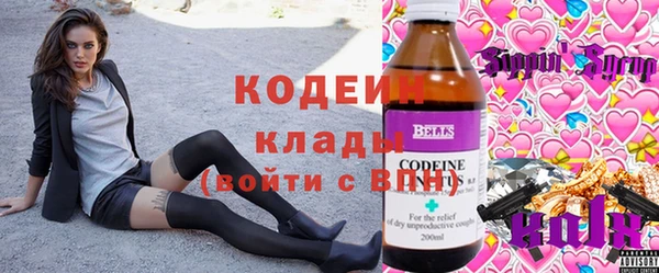 спиды Богданович