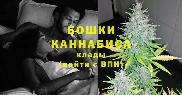 спиды Богданович