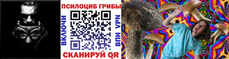 Купить закладки  Жуковка  Псилоцибиновые грибы Psilocybine cubensis 