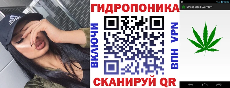 Купить где  Жуковка  Каннабис AK-47 
